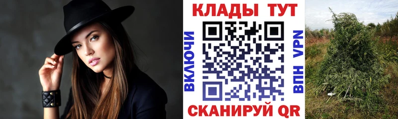 Купить А ПВП  Марихуана  КОКАИН  Меф  Галлюциногенные грибы  Гашиш  АМФ  Североморск